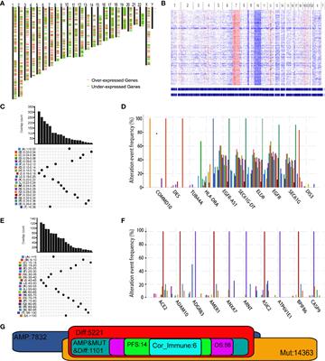 Identification of Tumor Antigens and Immune Subtypes of Glioblastoma for mRNA Vaccine Development